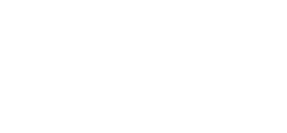 Netopie by Metaline
